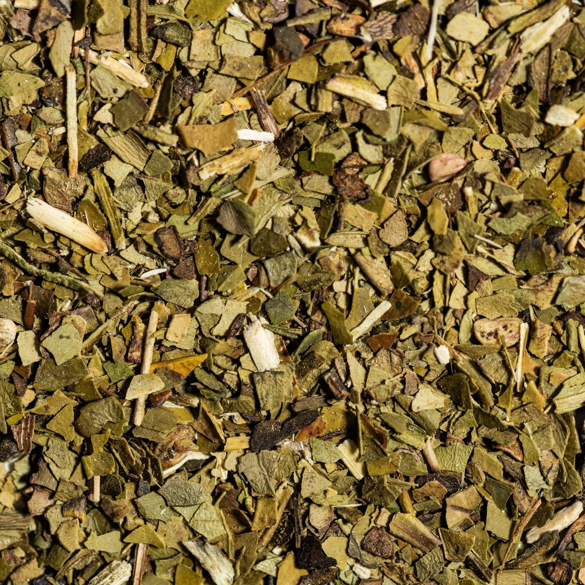 Účinky Yerba maté podľa vedeckých štúdií